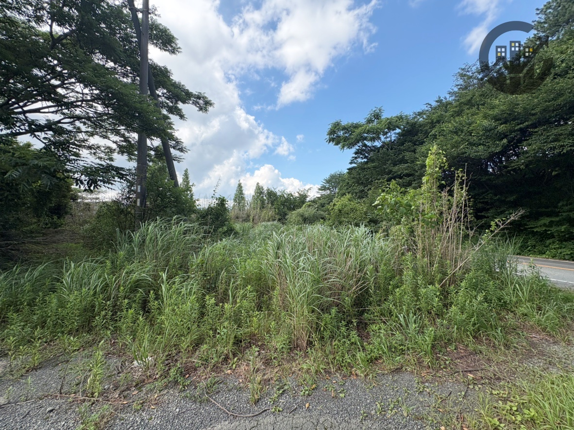 阿蘇郡 南阿蘇村河陽 事業用地