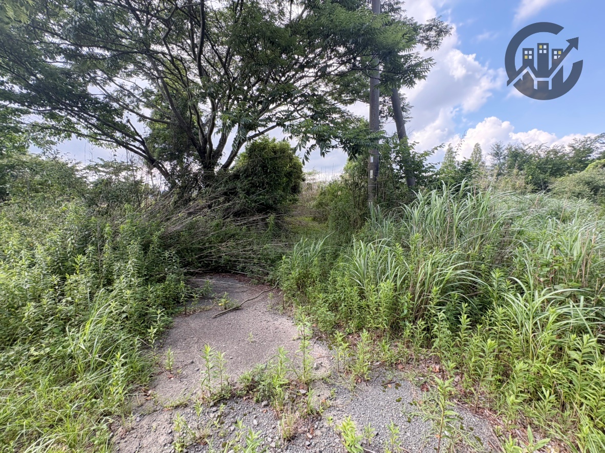 阿蘇郡 南阿蘇村河陽 事業用地